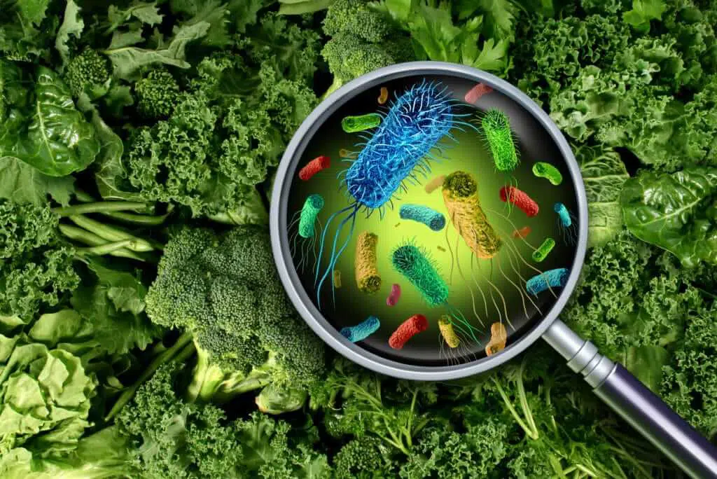 Assortment of germs on green-vegetable background revealed under magnifying glass