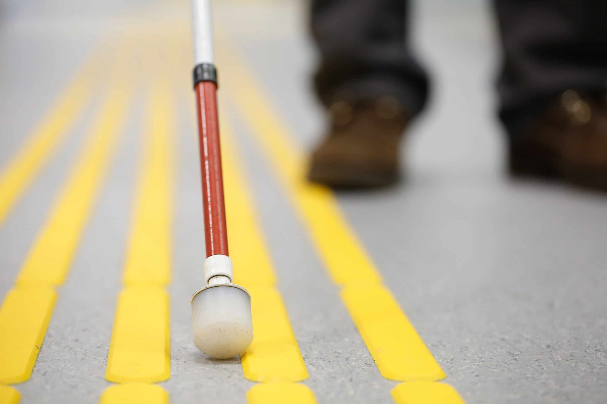 Walking stick touching ground in a crosswalk